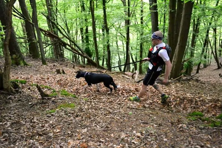 Läufer und Hund im Wald mit Leine lässt sich ziehen Vorurteile