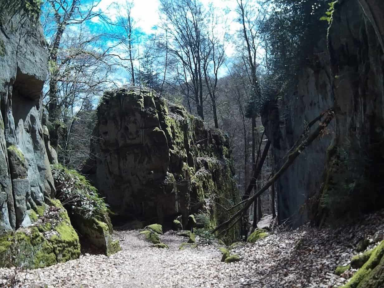 Trailrun-Muellerthal36