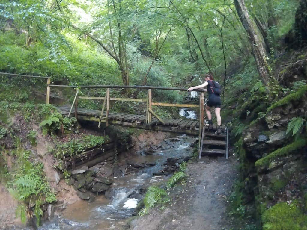 RheinBurgenWegLauf-2016-319