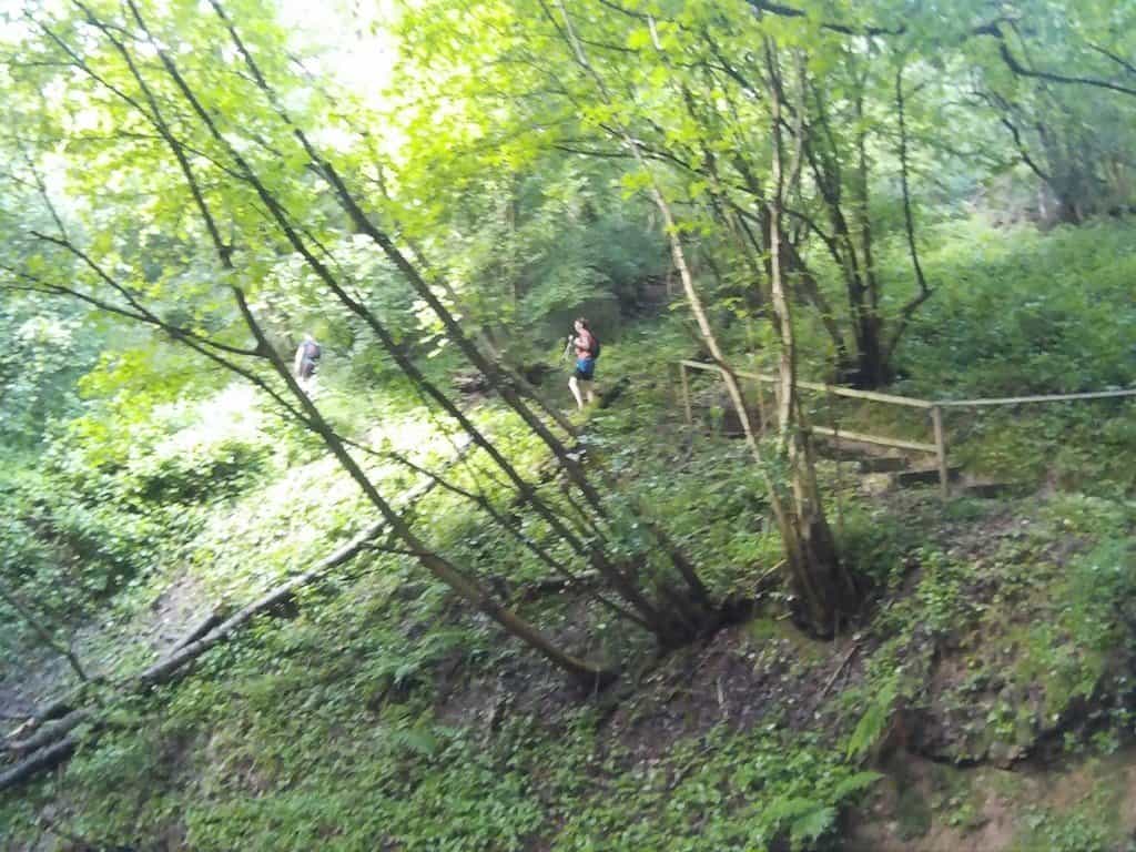 RheinBurgenWegLauf-2016-323