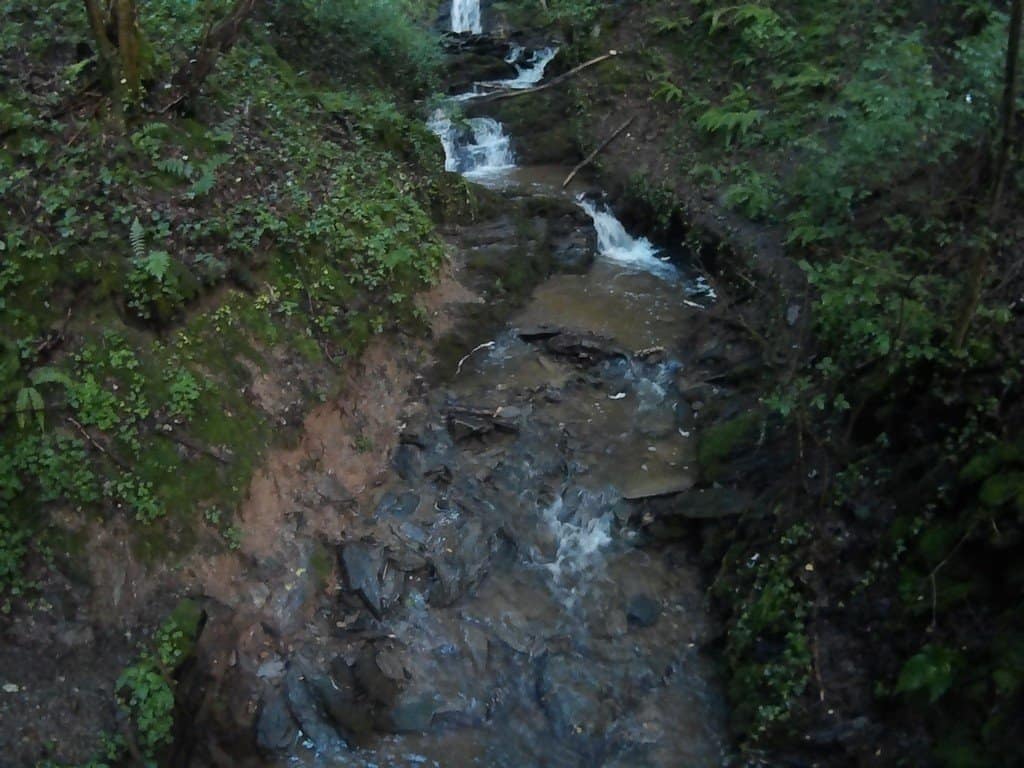 RheinBurgenWegLauf-2016-330