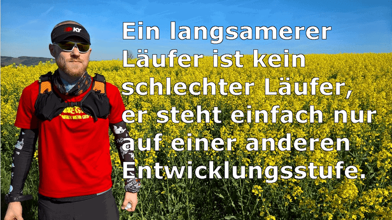 Entwicklungsstufe
