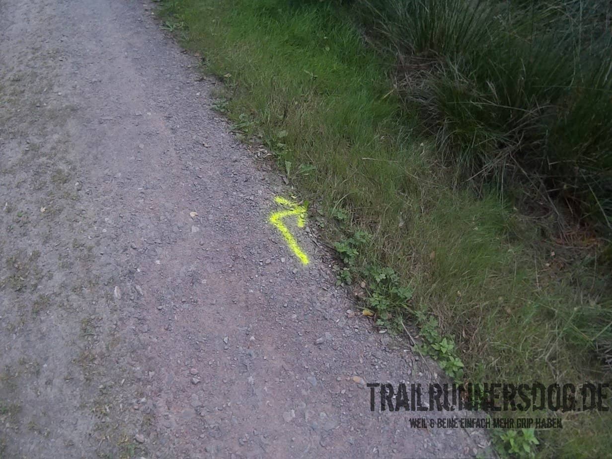 RAG-Hartfuesslertrail-2016-230