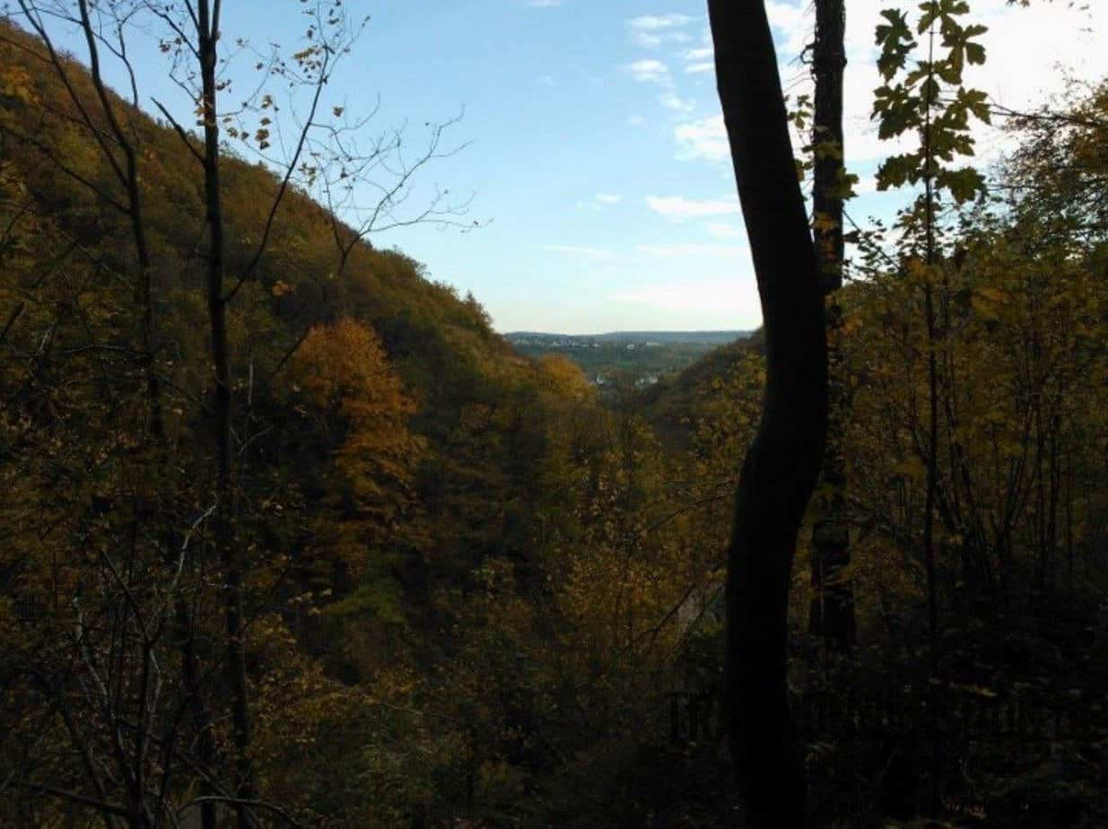 burgpfad-kobern-2014-04