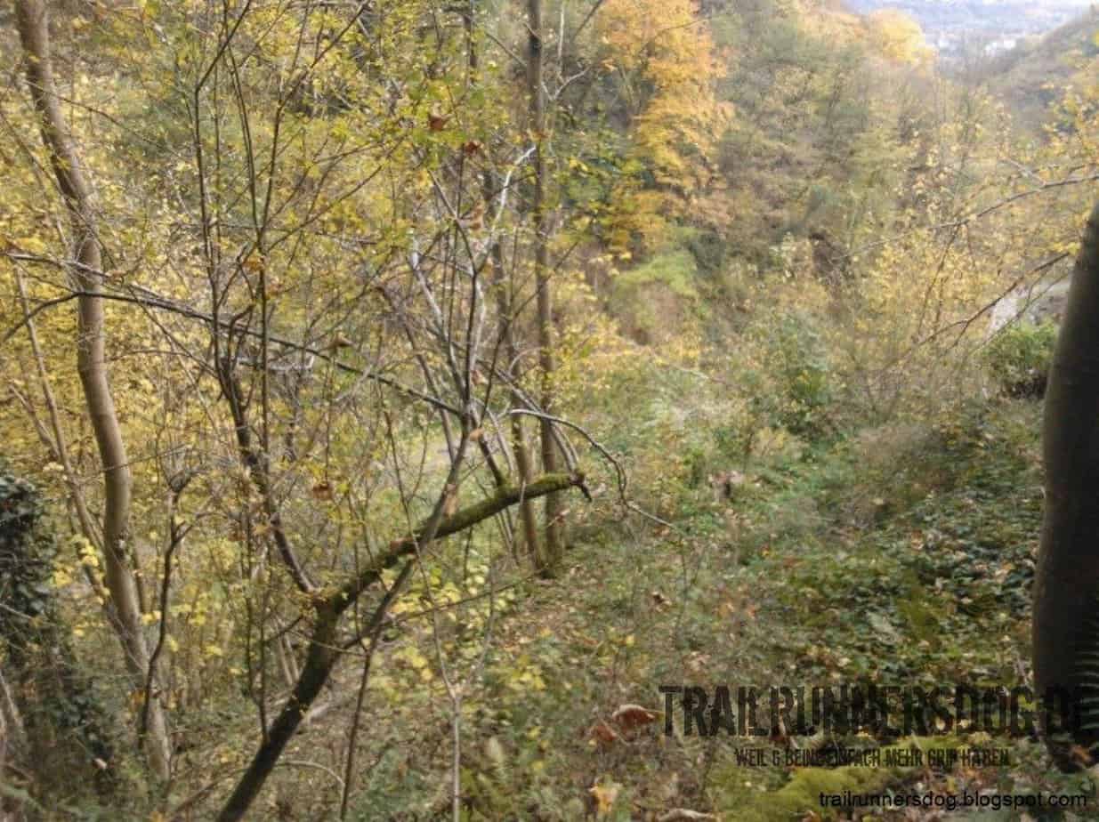 burgpfad-kobern-2014-05