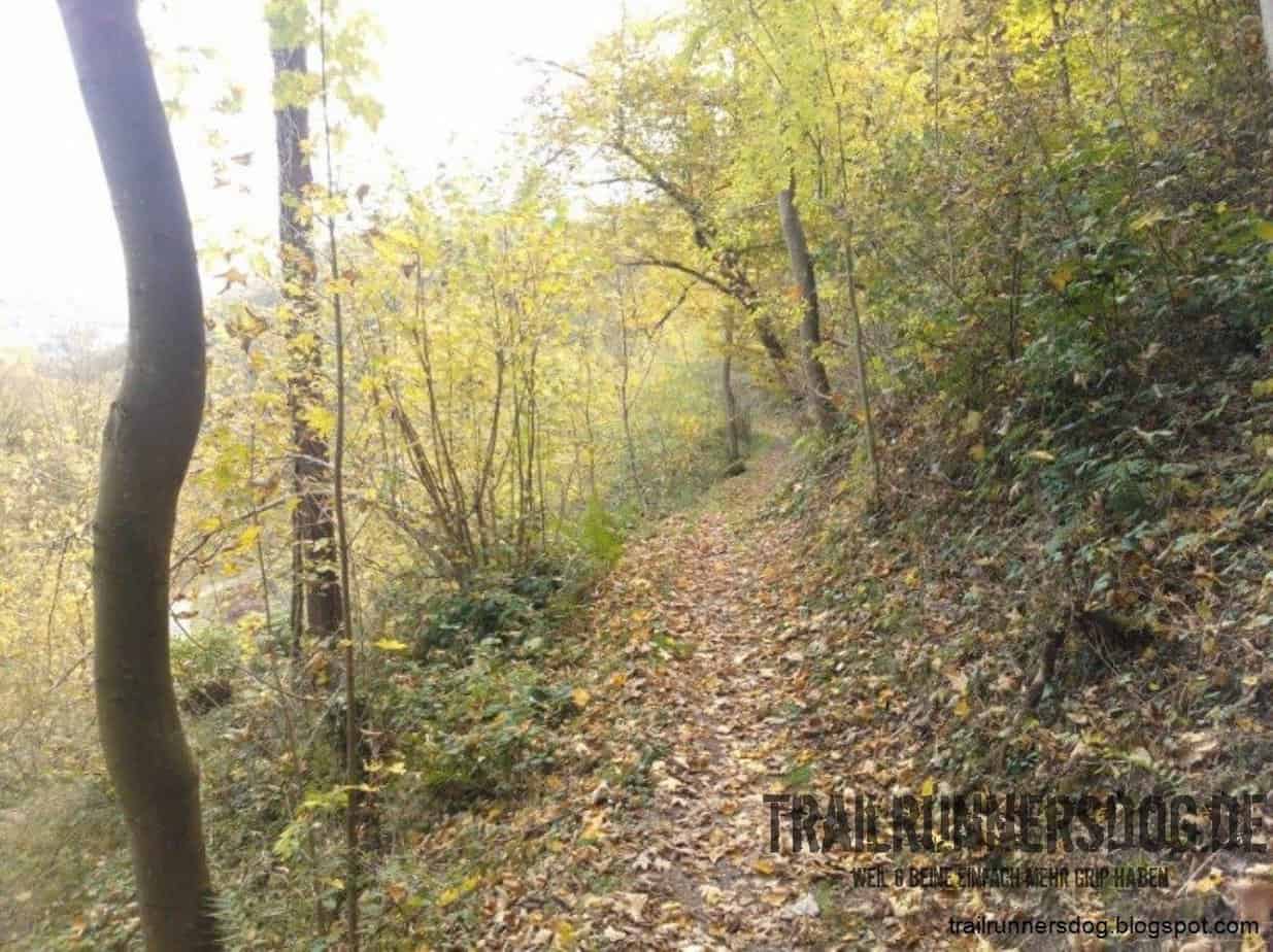 burgpfad-kobern-2014-07