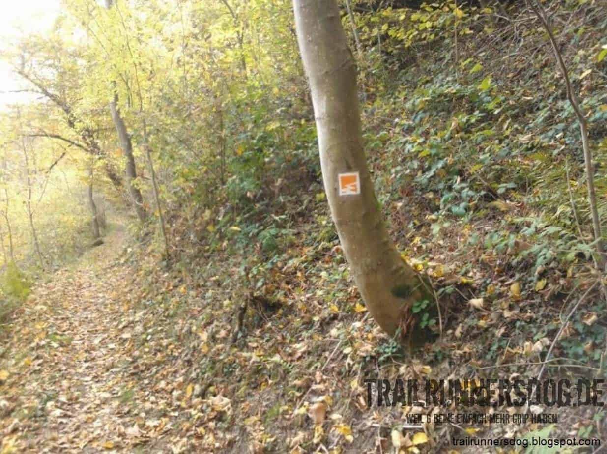 burgpfad-kobern-2014-08