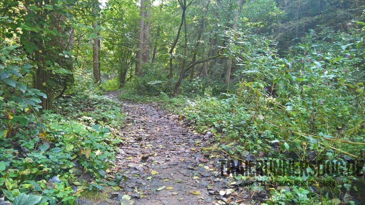 felsensteig-door2trail-13