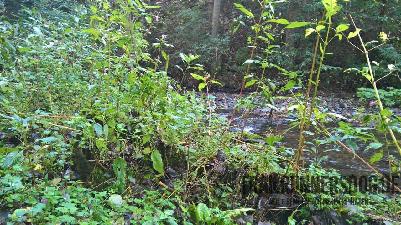 felsensteig-door2trail-14