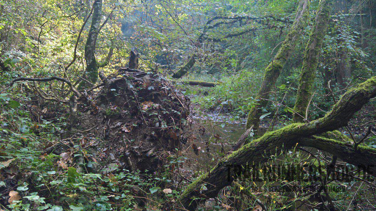 felsensteig-door2trail-23