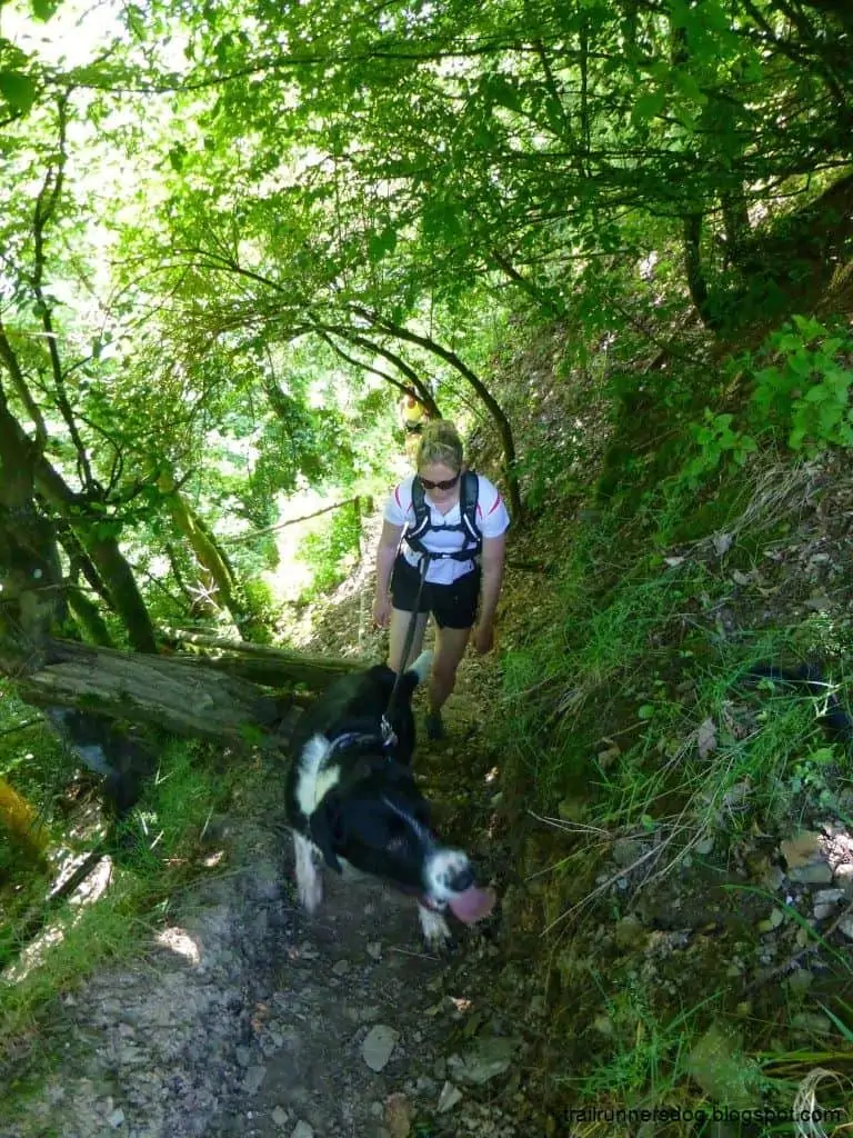 Vorurteile Hundeläufer Trail Running Mosel