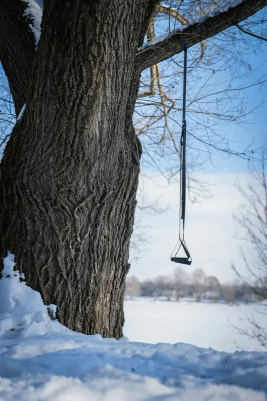 Schlingentrainer Sling Trainer am Baum