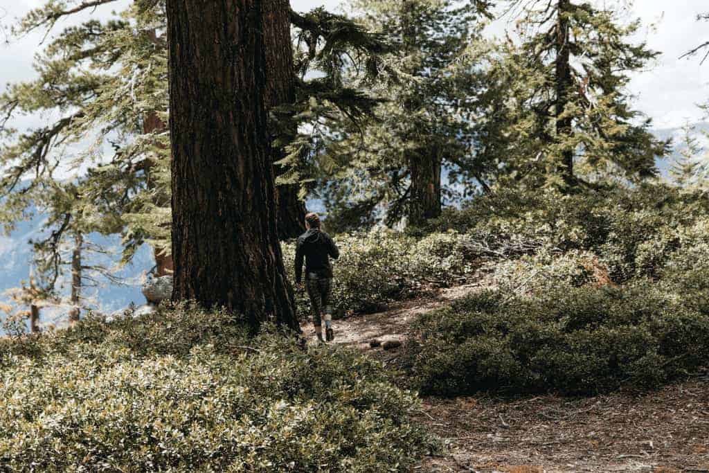 Trail Running - eine Trendsportart?