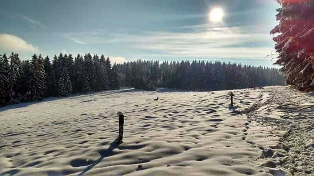 Winterwonderland Thüringer Wald